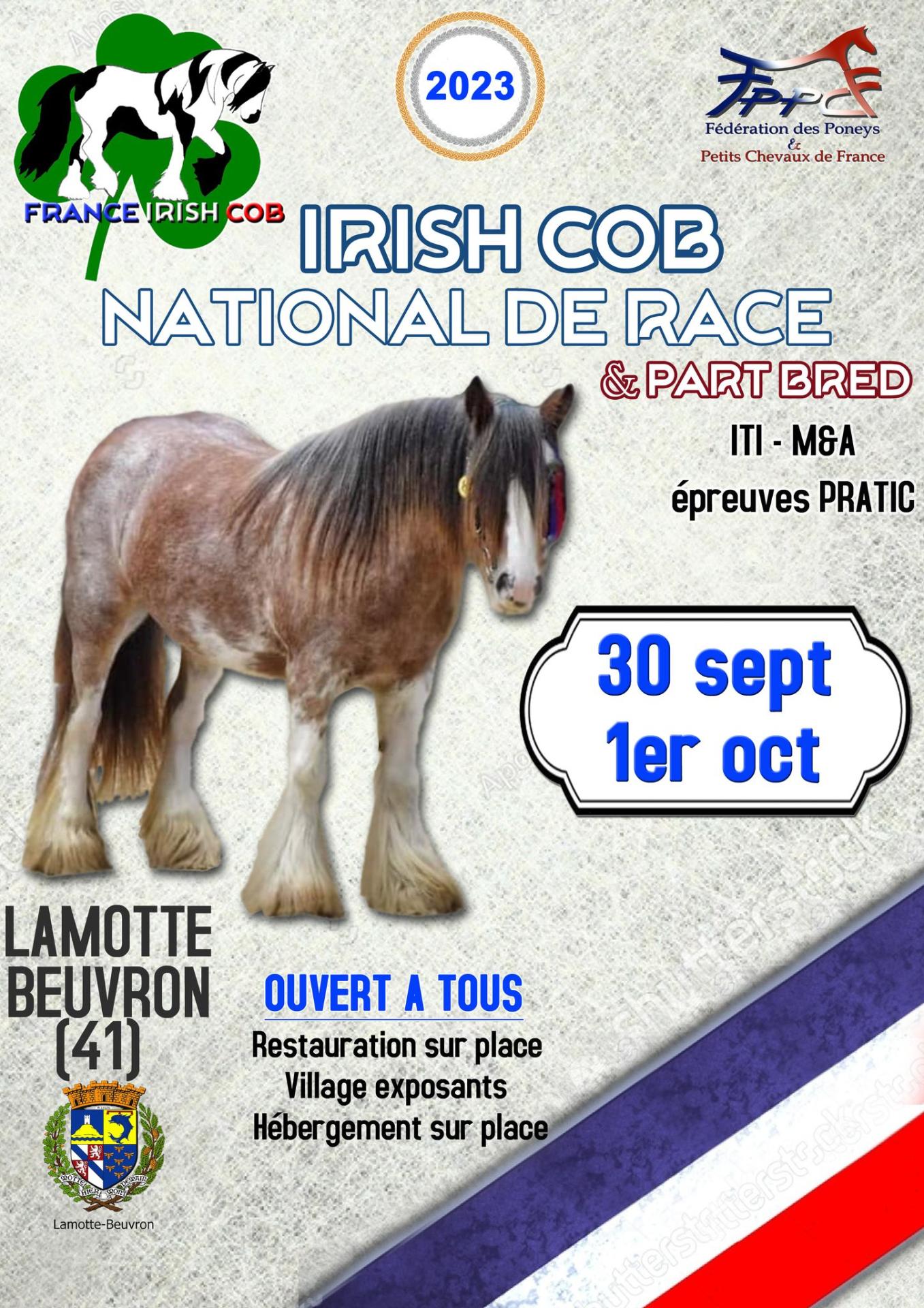 Affiche national ic 2023 provisoire