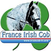 France Irish Cob